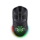 Souris sans fil 25307