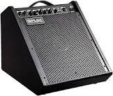 Ampli dm100