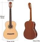Guitare mcg-39