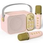 Enceinte karaoke ys-228