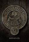 Boucle ceinture hunger games