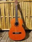Guitare sonia
