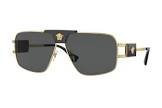 Lunettes mod 2251