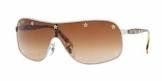 Lunettes rj9520sb