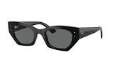 Lunettes rb4430-6677/81