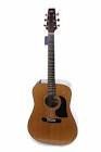 Guitare lw10