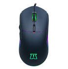 Souris akotam02