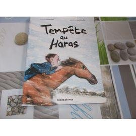 Tempete au haras