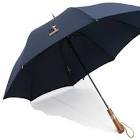 Parapluie de cherbourg
