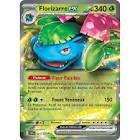 Figurine, goodies, carte florizarre ex 001/142