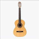 Guitare mc-310m