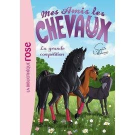 Mes amis les chevaux - tome 2 - la grande competition