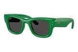 Lunettes rb4940