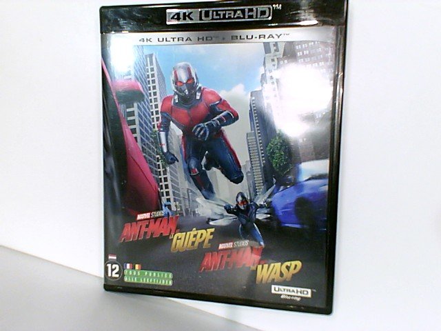 Antman et la guepe