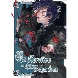 Sorciere du chateau aux chardons (la) - tome 2