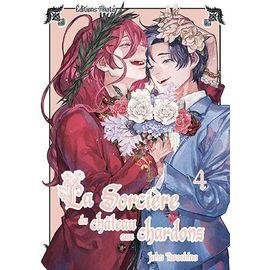 Sorciere du chateau aux chardons (la) - tome 4