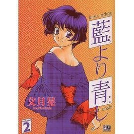 Bleu indigo - tome 2