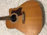 Guitare acoustique model niagara