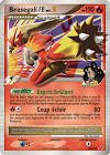 Carte pokemon brasegali fb niv.x 142/147