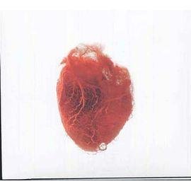 Cd love is simple + dvd