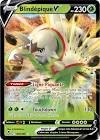 Carte pokemon blindepique v 015/195