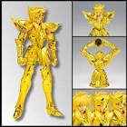 Figurine saint cloth myth ex aquarius hyoga ineritor of the gold cloth