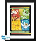 Cadre pokemon
