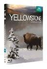 Yellowstone, la lutte pour la vie -