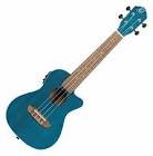 Ukulele earth series