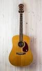 Guitare fr300