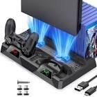 Bibelot support toutes play 4