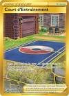 Figurine, goodies, carte court d'entrainement 282/264