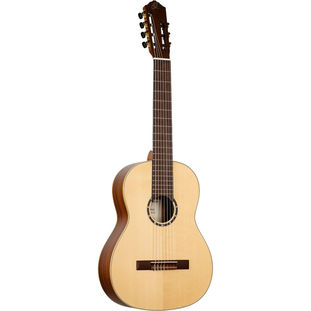 Guitare r133-7