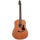 Guitare ectro acoustique coastline momentum a/e hg