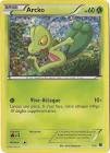 Carte pokemon arcko 1/12
