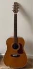 Guitare lw12hb