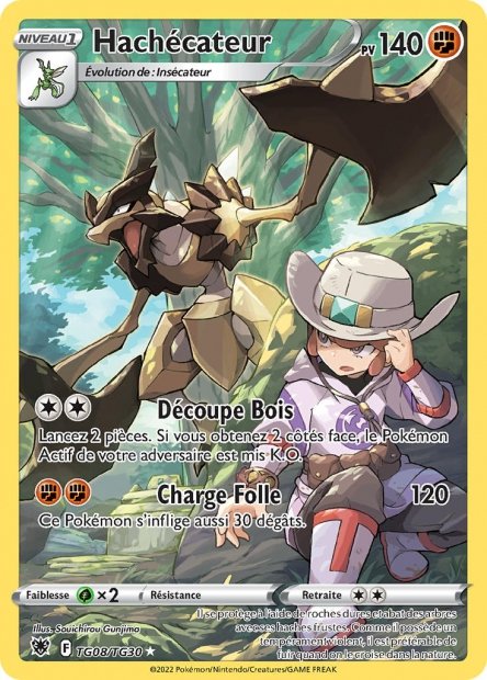 Carte pokemon hachecateur asr tg08/tg30 holo