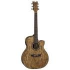 Guitare eletro acoustisque eqagn