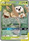 Cartes a collectionner brindibou et noadkoko d'alola gx 1/236