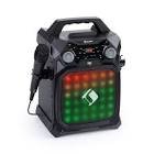 Enceinte karaoke + 1 micro 10034074