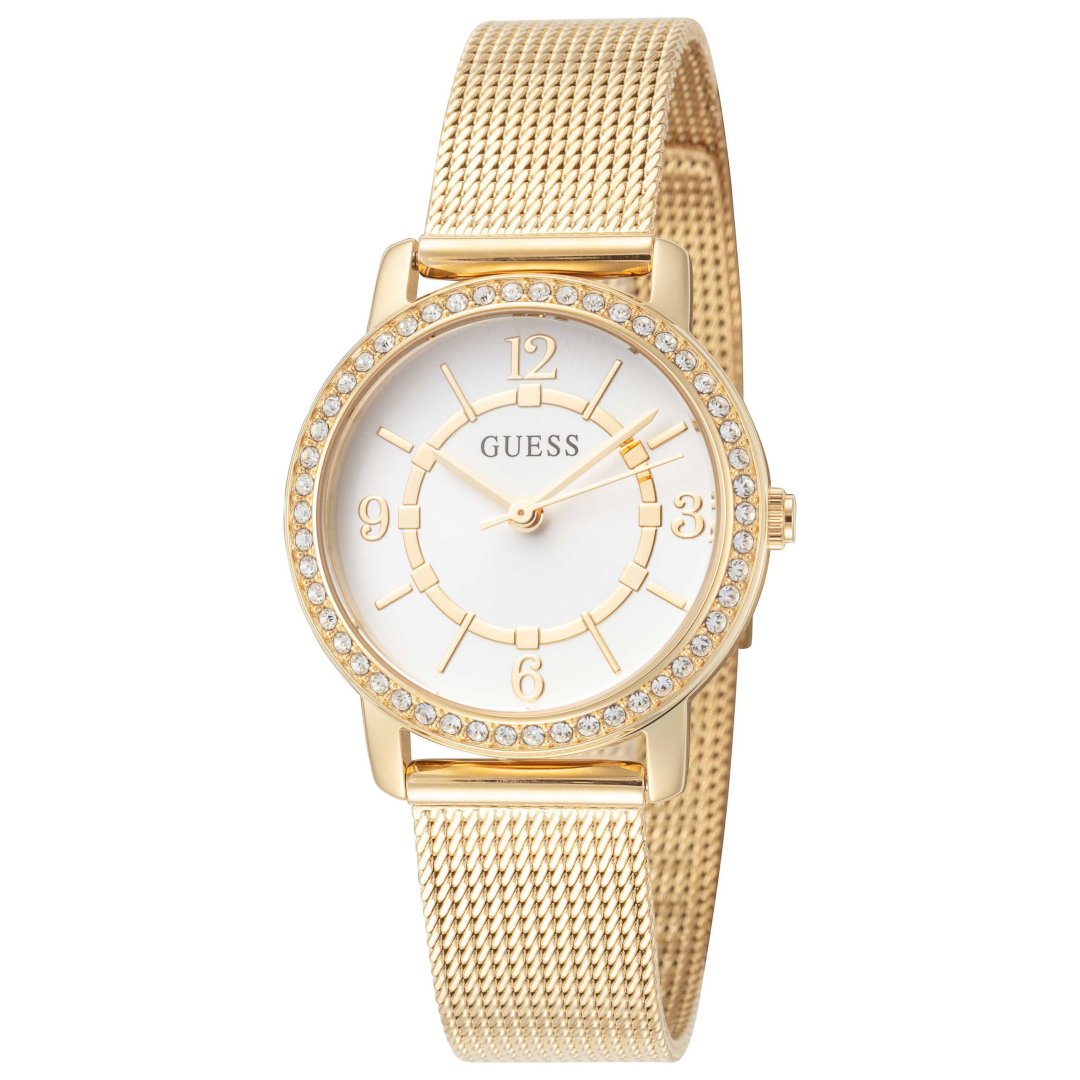 Montre a quartz gw0534l2