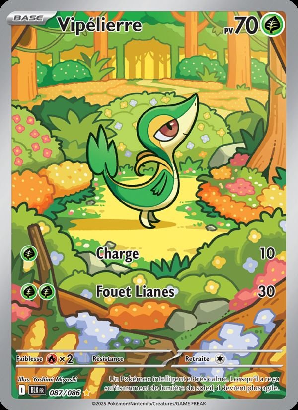 Carte pokemon vipelierre blk 087/86 normale
