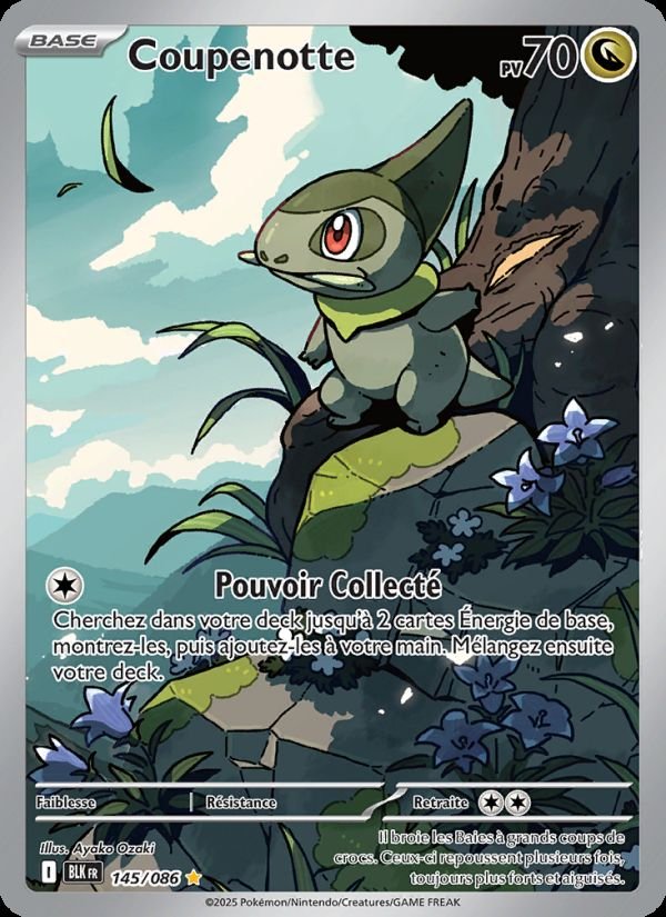 Carte pokemon coupenotte blk 145/86 normale