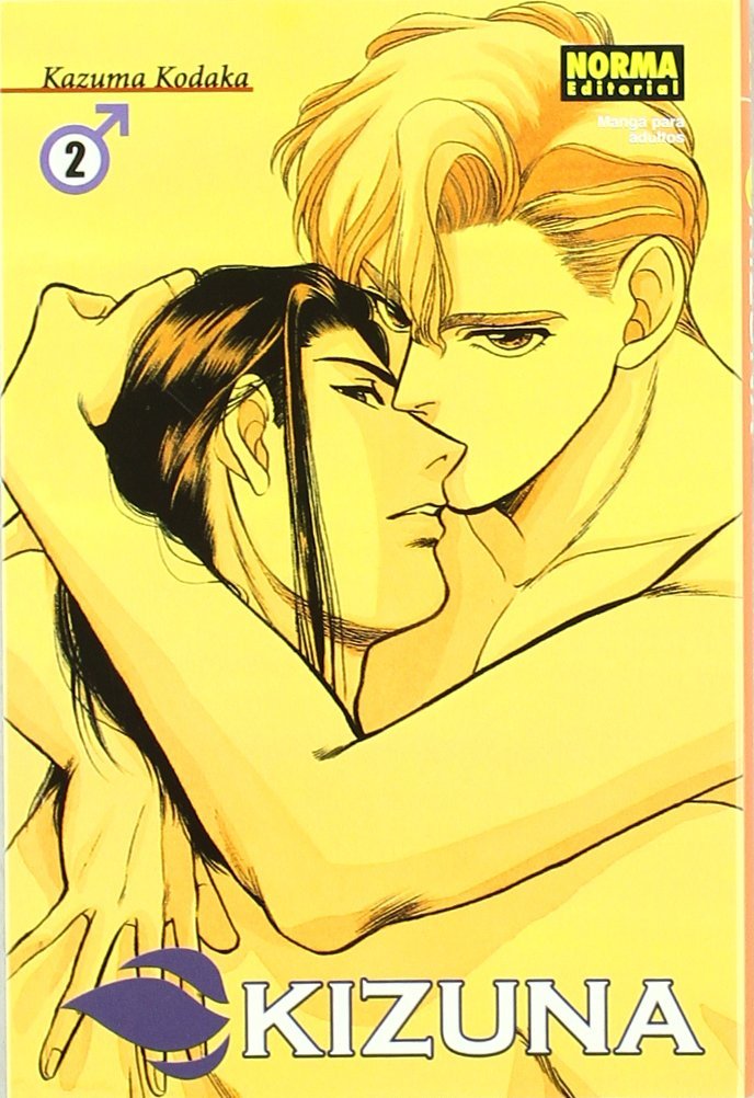 Kizuna - tome 2