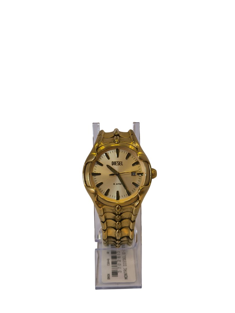 Montre dz-2186