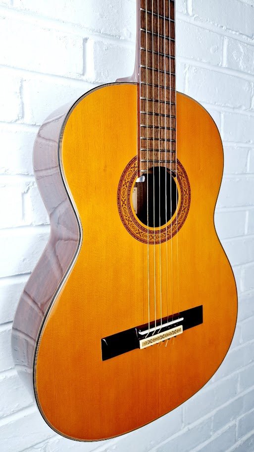 Guitare c-28