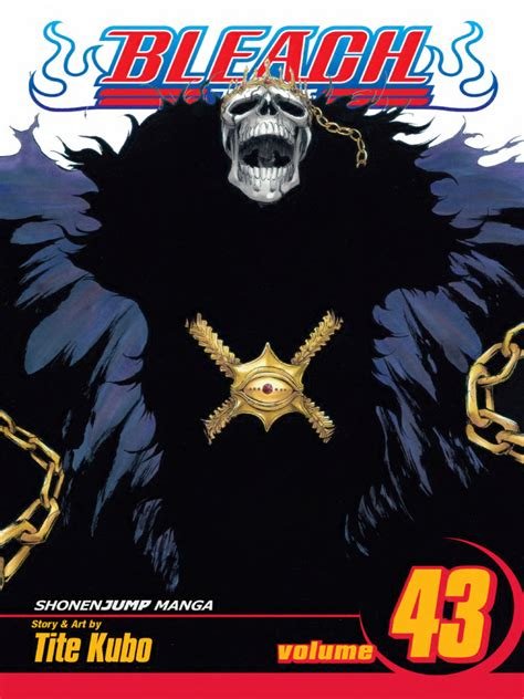 Manga bleach - tome 43 : kingodm of hollows
