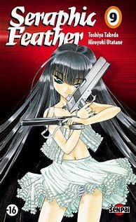 Seraphic feather - 9 tomes