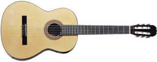 Guitare jazz vintage holiday