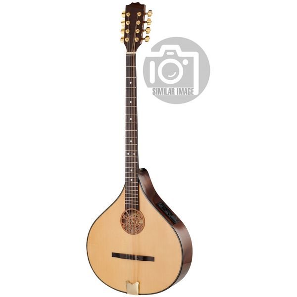 Bouzouki irish concert pu